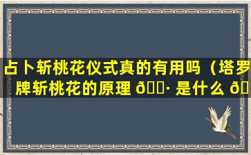 占卜斩桃花仪式真的有用吗（塔罗牌斩桃花的原理 🌷 是什么 🌴 ）